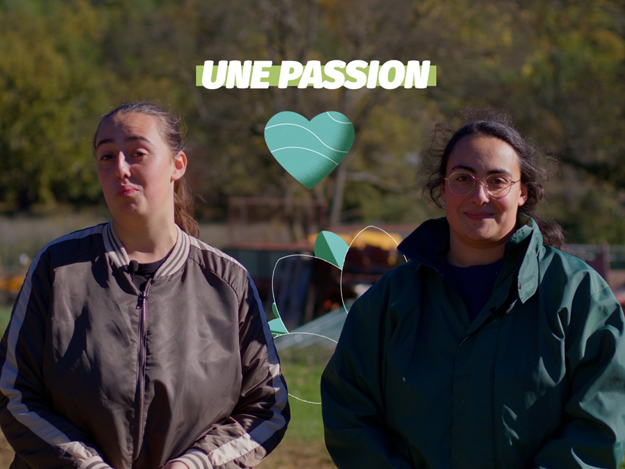 Image tirée de la vidéo témoignage agricole pour la Chambre d’Agriculture du Var et la MSA Provence Azur, mettant en lumière la transmission d’une exploitation entre cédante et repreneuses, par La Mama Studio